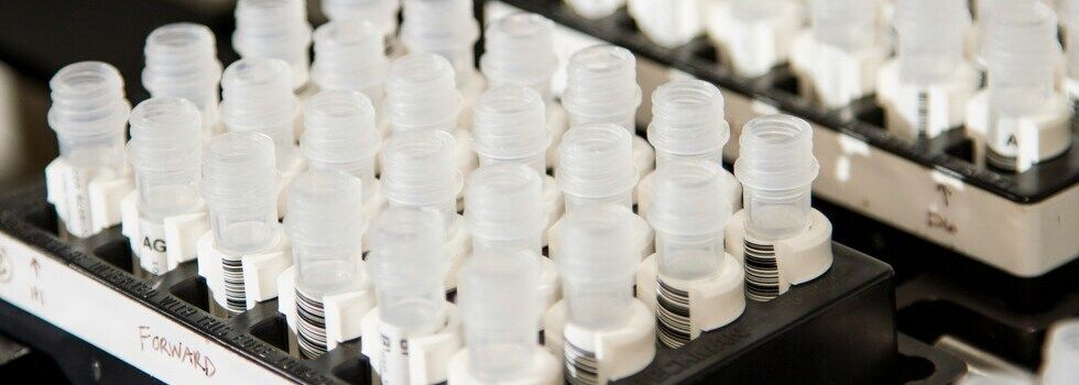 Biosimilares: