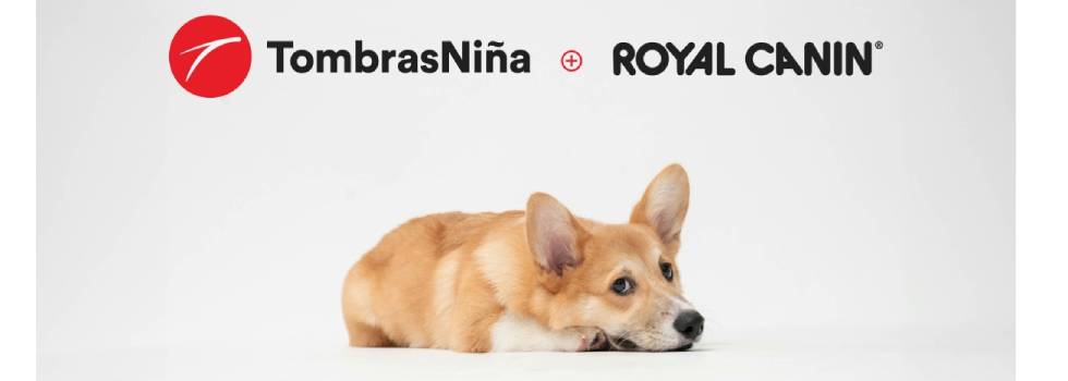 Tombras Niña y Royal Canin crean una licencia por adoptar mascotas